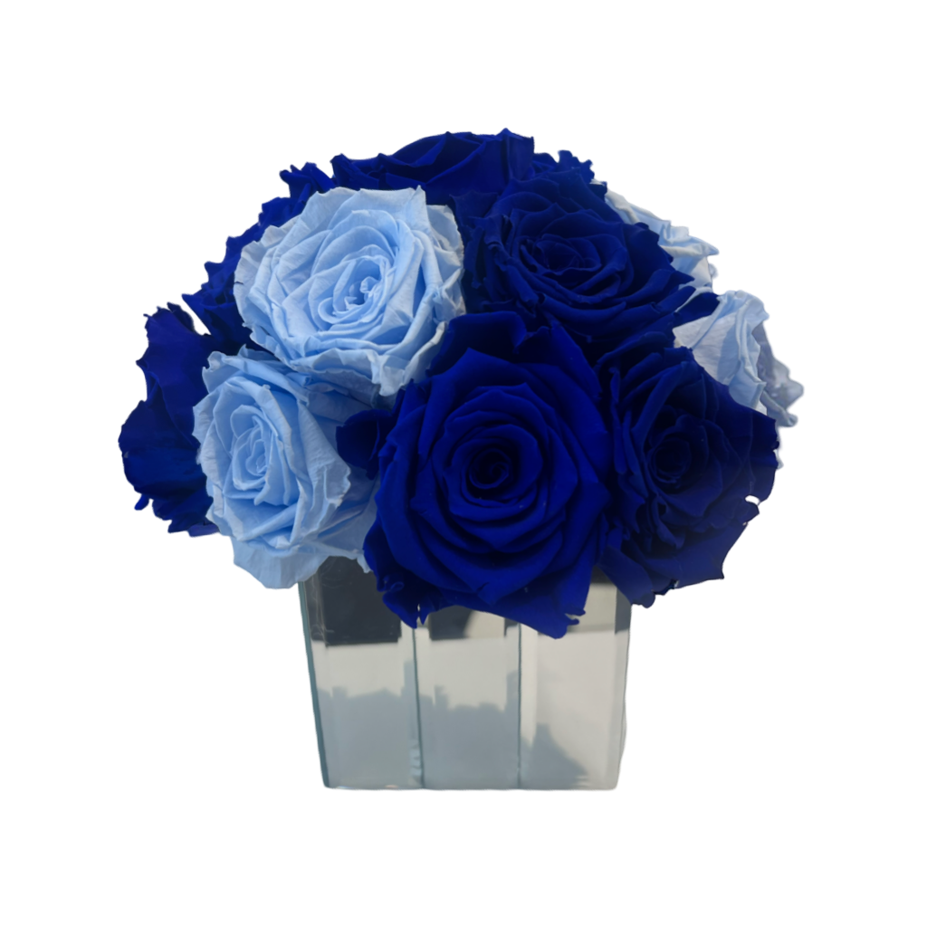 15 ROSES BLUE NAVY & BABY BLUE